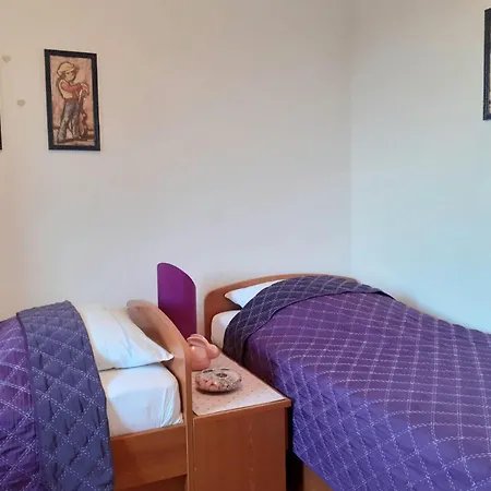 Apartman Borovina *