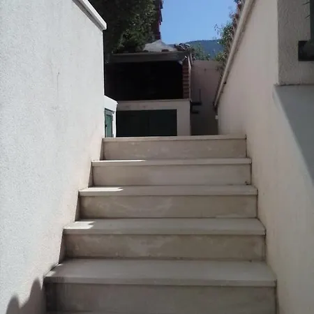 Borovina Apartman Bol