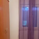 Apartman Borovina *