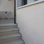 Apartman Borovina *