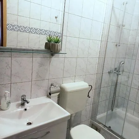 Borovina Apartman *