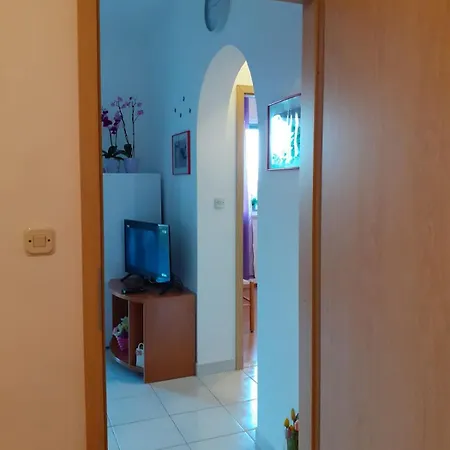 Lägenhet Borovina Bol