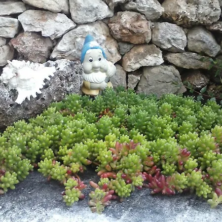 Borovina Lägenhet *