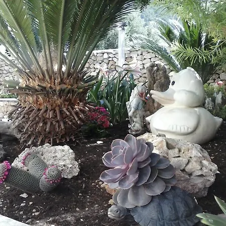 Borovina Lägenhet Bol