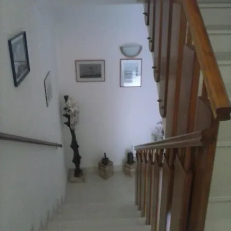 Borovina Bol