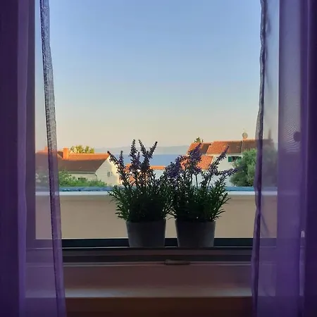 Borovina Apartamento
